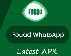 Pros and Cons of Fouad WhatsApp